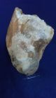 British Large Heavy Lower Palaeolithic Flint Tool From Dorset England Neolithic & Paleolithic photo 8