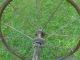 Antique Baby Buggy Wheels.  Refurbishing Or Steampunk/altered Art Primitives photo 4