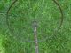 Antique Baby Buggy Wheels.  Refurbishing Or Steampunk/altered Art Primitives photo 5