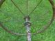 Antique Baby Buggy Wheels.  Refurbishing Or Steampunk/altered Art Primitives photo 6