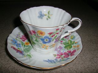 Lovely Royal Standard Floral Coutry Lane Antique Vintage Cup Saucer England photo