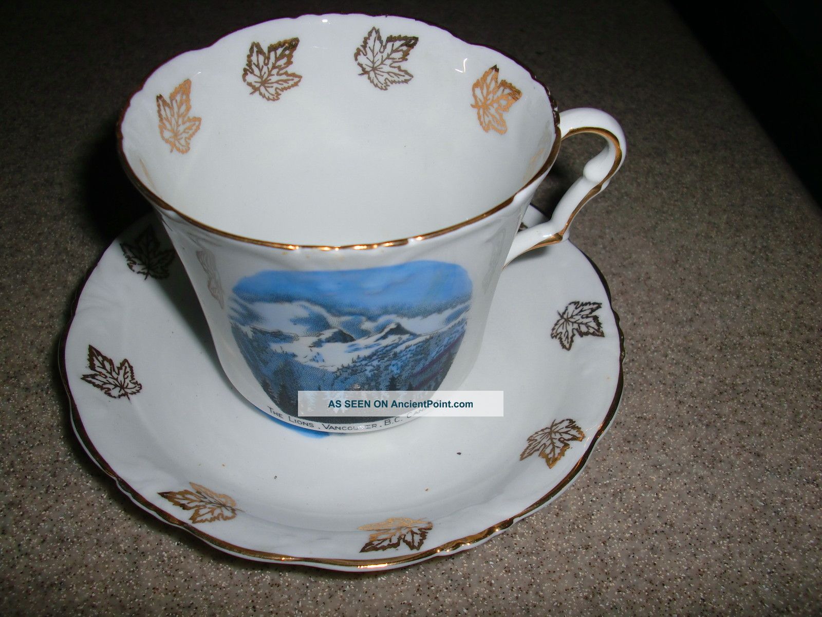 Lovely Collingswood Gold Maple Leaf Antique Vintage Cup Saucer Made In England Cups & Saucers photo