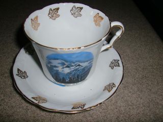 Lovely Collingswood Gold Maple Leaf Antique Vintage Cup Saucer Made In England photo