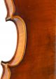Exceptional Antique Markneukirchen German Violin - Albert Knorr C.  1920 - String photo 11