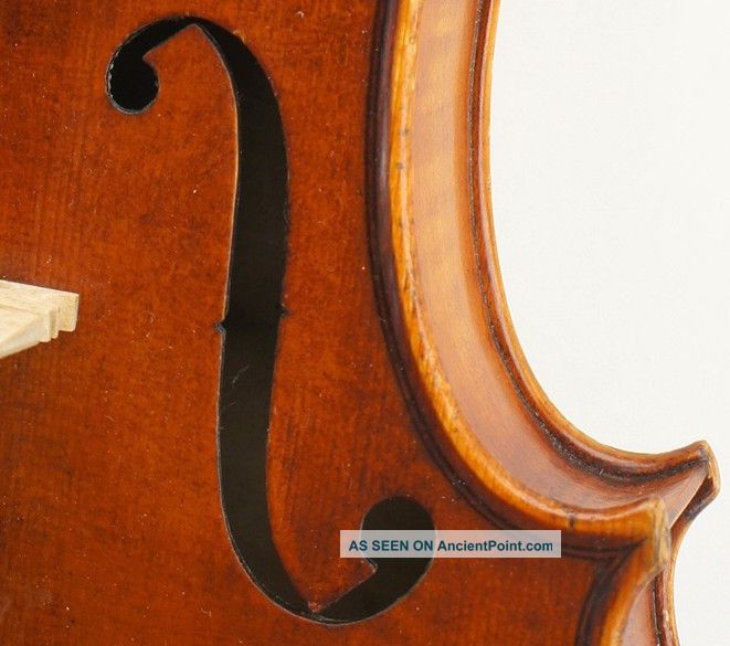 Exceptional Antique Markneukirchen German Violin - Albert Knorr C.  1920 - String photo