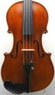Exceptional Antique Markneukirchen German Violin - Albert Knorr C.  1920 - String photo 1