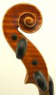 Exceptional Antique Markneukirchen German Violin - Albert Knorr C.  1920 - String photo 3