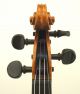 Exceptional Antique Markneukirchen German Violin - Albert Knorr C.  1920 - String photo 5