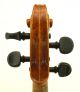Exceptional Antique Markneukirchen German Violin - Albert Knorr C.  1920 - String photo 6