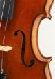 Exceptional Antique Markneukirchen German Violin - Albert Knorr C.  1920 - String photo 8