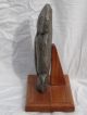 1975 Shona Zizi Owl Stone Sculpture Sig.  Chamunorwa Manyore,  Zimbabwe Africa Sculptures & Statues photo 4