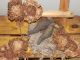 Fall Sunflowers And Prim Crows Primitive Bowl Fillers Picks Handmade Prim Ornies Primitives photo 1