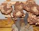 Fall Sunflowers And Prim Crows Primitive Bowl Fillers Picks Handmade Prim Ornies Primitives photo 3