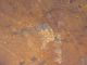 Nest Of 5 Antique Pantry Boxes - Thomas Annett,  E.  Jaffrey,  Nh - Primitives photo 2