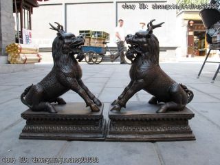 China Bronze Foo Dog Lion Classic Palace Door Ward Off Evil Dragon Kirin Pair photo