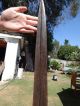 Congo Old African Spear Lance Ngbandi Kongo Africa Speer Other photo 3