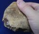 British Lower Palaeolithic Flint Pebble Tool From Dorset England Neolithic & Paleolithic photo 2