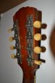 C1919 Gibson Mandolin 65040 Style H1 With Parts Label And Guarantee String photo 6
