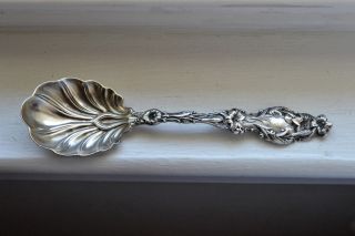 Antique Whiting Lily Sterling Silver Sugar Shell Spoon 1902 Art Nouveau Nomon photo