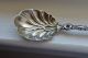 Antique Whiting Lily Sterling Silver Sugar Shell Spoon 1902 Art Nouveau Nomon Flatware & Silverware photo 2
