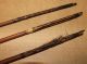 Congo 3 Old African Arrows Flèches Ancienes Mongo Afrika Pijl Kongo Pfeile Other photo 5
