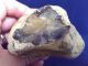 British Palaeolithic Flint Pebble Chopping Tool From Dorset England Neolithic & Paleolithic photo 5