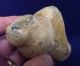 British Palaeolithic Flint Pebble Chopping Tool From Dorset England Neolithic & Paleolithic photo 6