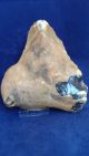 British Large Lower Palaeolithic Flint Tool From Dorset England Neolithic & Paleolithic photo 5