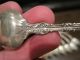 Of 11 Whiting Five O ' Clock Lily Sterling Lion Pat.  1902 Teaspoon 5 3/8 