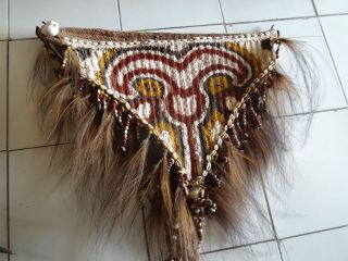 Warrior Skirt With Organic Color Papua New Guinea Tribal Ethnographic photo