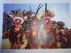 Warrior Skirt With Organic Color Papua New Guinea Tribal Ethnographic Pacific Islands & Oceania photo 2