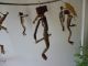 Rare African Folk Art Mobile Other photo 10