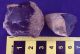 A British Pair Mesolithic Flint Tools From Dorset England Neolithic & Paleolithic photo 11