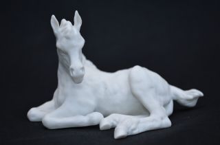 Lovely Kaiser White Bisque Porcelain Foal Horse Figurine,  Made In Germany photo