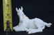Lovely Kaiser White Bisque Porcelain Foal Horse Figurine,  Made In Germany Figurines photo 2