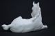 Lovely Kaiser White Bisque Porcelain Foal Horse Figurine,  Made In Germany Figurines photo 5