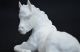 Lovely Kaiser White Bisque Porcelain Foal Horse Figurine,  Made In Germany Figurines photo 7
