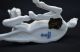 Lovely Kaiser White Bisque Porcelain Foal Horse Figurine,  Made In Germany Figurines photo 8