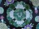 Large 19th C Famille Noire Mille Fleur Chinese Astrology Theme Porcelain Charger Pots photo 3