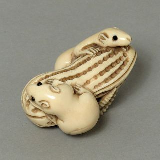 Antique Faux Ivory Netsuke 2 Rats On Peanut Carving N4365 - Age Crack photo
