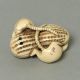 Antique Faux Ivory Netsuke 2 Rats On Peanut Carving N4365 - Age Crack Netsuke photo 2