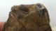 British Large Lower Palaeolithic Flint Tool From Dorset England Neolithic & Paleolithic photo 5