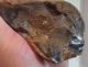 British Large Lower Palaeolithic Flint Tool From Dorset England Neolithic & Paleolithic photo 8