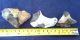 A British Group Of 3 Upper Palaeolithic / Mesolithic Flint Tools From Dorset Neolithic & Paleolithic photo 11