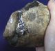British Palaeolithic Flint Tool From Dorset England Neolithic & Paleolithic photo 2