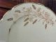 Dated 1895 Potter ' S Cooperative Golden Wheat Plate East Liverpool Ohio Plates & Chargers photo 1