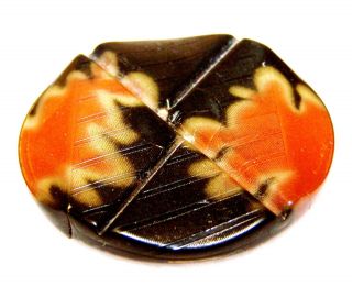 Vintage Large Celluloid Black And Dark Muted Orange Patterned Button 2” Diameter photo