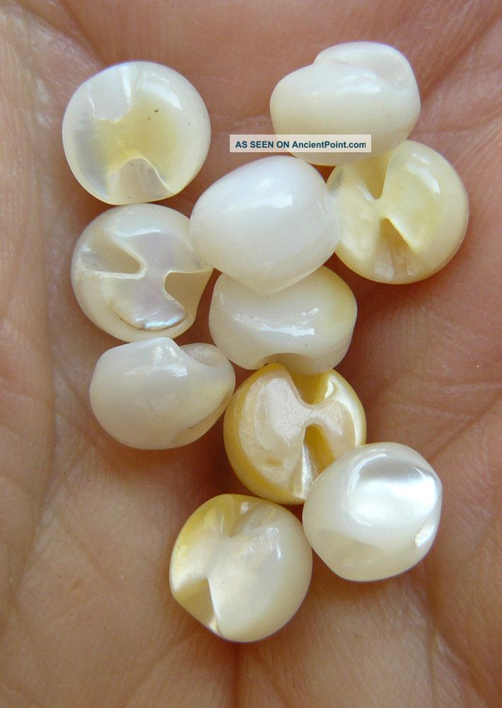 Antique Mother Of Pearl Buttons Small White Round Back Hole 40 Count Buttons photo