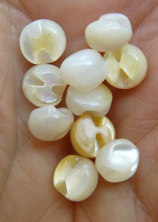 Antique Mother Of Pearl Buttons Small White Round Back Hole 40 Count photo