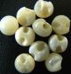 Antique Mother Of Pearl Buttons Small White Round Back Hole 40 Count Buttons photo 2